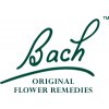 Bach