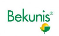Bekunis