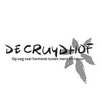 De Cruy