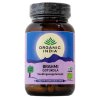 Organic India Brahmi-Gotu Kola Biologisch