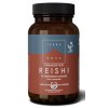 Terranova Fermented Reishi