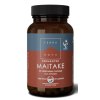 Terranova Fermented Maitake