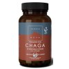 Terranova Fermented Chaga