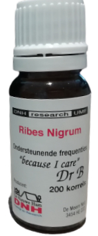 200 grains DNH Research Ribes Nigrum
