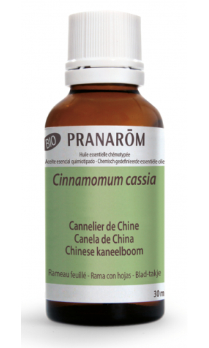 Pranarom Chinese Kaneelboom - Cinnamomum Cassia Essentiële Olie