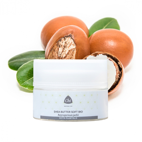 sheabutter-soft-biologisch-chi-100-ml