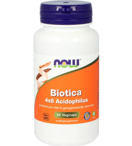 60 Kapseln NOW Biotica 4x6 Acidophilus
