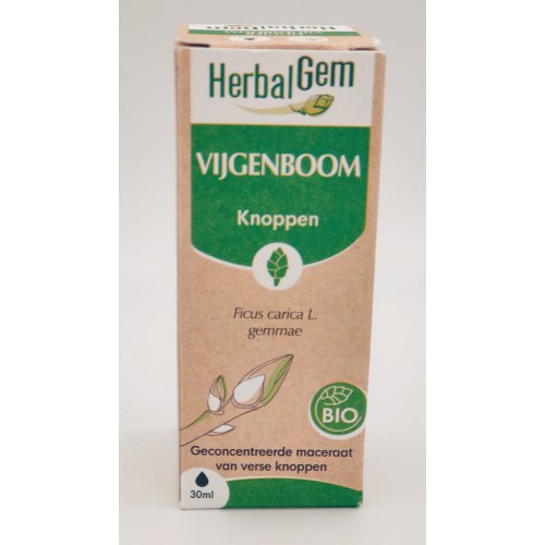 30 Ml Herbalgem Vijgenboom - Ficus Carica Gemmae Biologisch