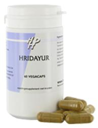 60 Kapseln Holisan Hridayur