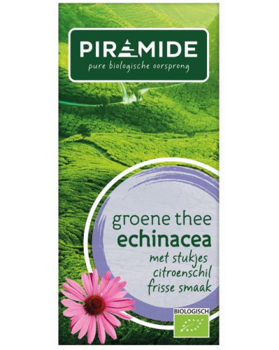 Piramide Groene Thee Echinacea Biologisch