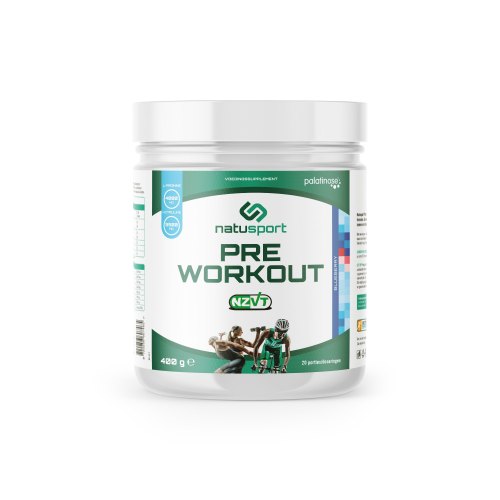 400 Gramm Natusport Pre-Workout Blueberry