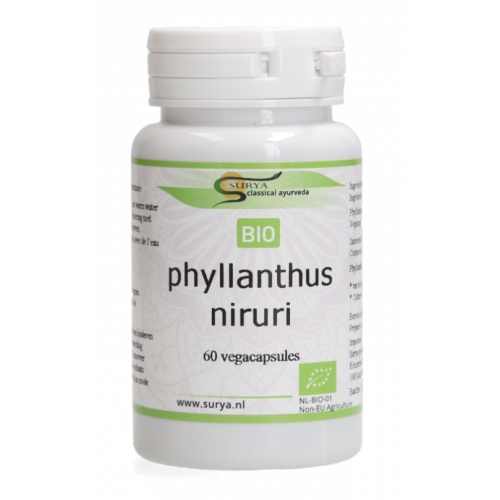phyllanthus-niruri-biologisch-surya-60-capsules
