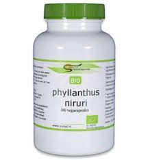 180 capsules Surya Phyllanthus Niruri Biologisch