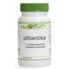 60 tabletten Surya Pittantika