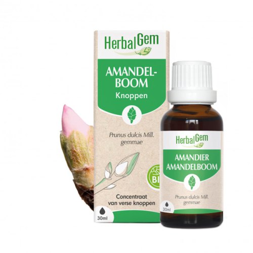Herbalgem Amandelboom Knoppen Biologisch