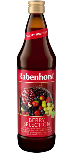  Rabenhorst Berry Selection Sap Biologisch