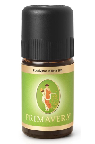 5 Ml Primavera Eucalyptus Radiata Biologisch