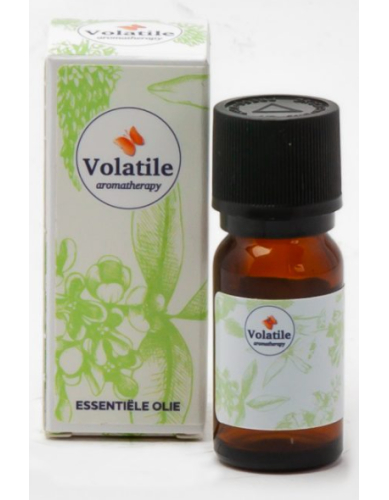 5 Ml Volatile Sinaasappel Zoet Etherische Olie