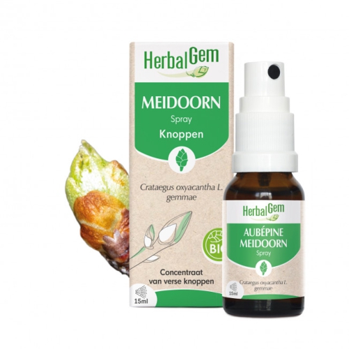 Herbalgem Meidoorn - Crataegus Oxyacantha Gemmae Spray Biologisch