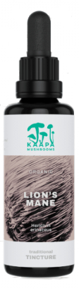 KÄÄPÄ Mushrooms Lion's Mane Paddenstoelen Tinctuur Biologisch