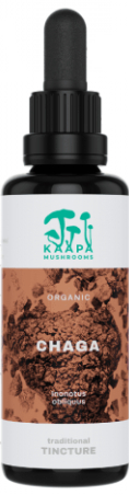 KÄÄPÄ Mushrooms Chaga Paddenstoelen Tinctuur Biologisch 50 ml