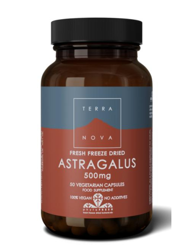 50 vegetarische capsules Terranova Astragalus 500 mg