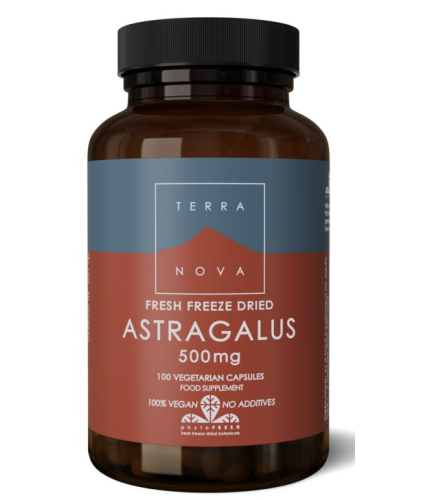 100 Vegetarische Kapseln Terranova Astragalus 500 mg