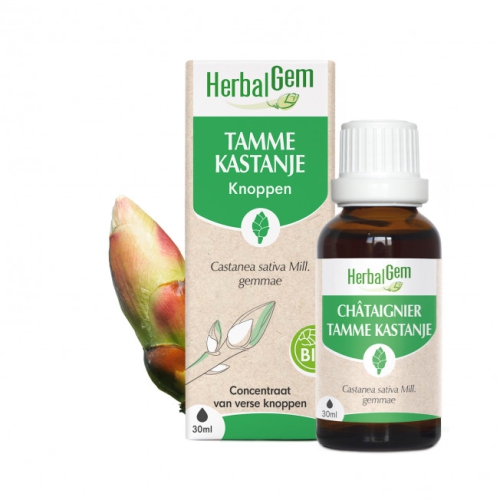 Herbalgem Tamme Kastanje - Castanea Sativa Gemmae Biologisch