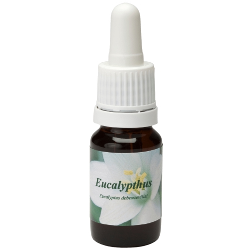 Star Remedies Eucalyptus