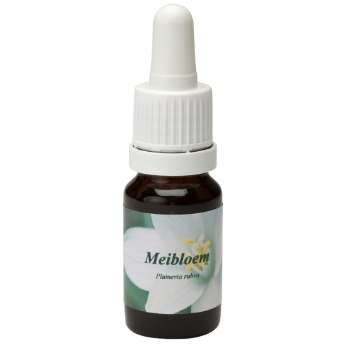 Star Remedies Meibloem