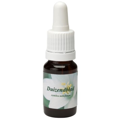 Star Remedies Witte Duizendblad