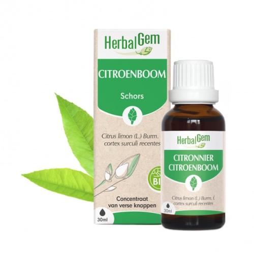 30 ml Herbalgem Citroenboom - Citrus Limon Biologisch