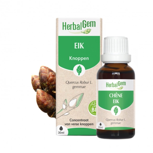 Herbalgem Eik - Quercus Robur Gemmae Biologisch