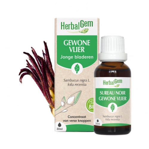 30 ml Herbalgem Gewone Vlier - Sambucus Nigra Biologisch