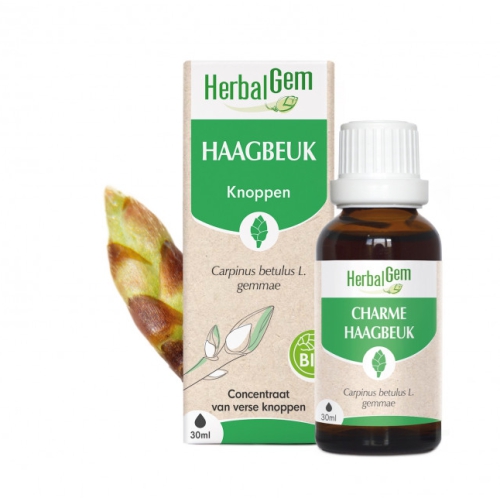 30 ml Herbalgem Haagbeuk - Carpinus Betulus Gemmae Biologisch