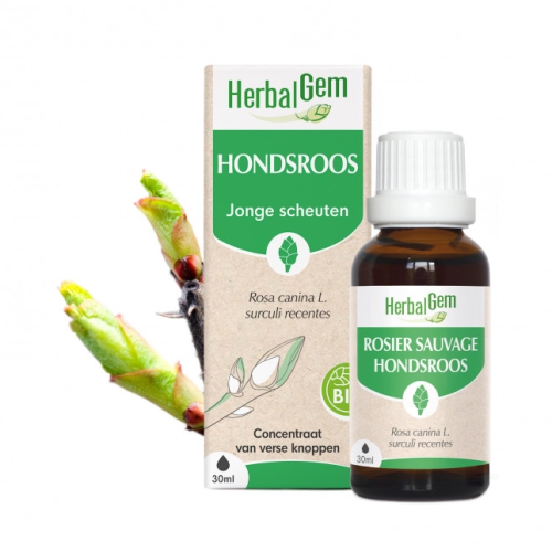 Herbalgem Hondsroos - Rosa Canina Biologisch