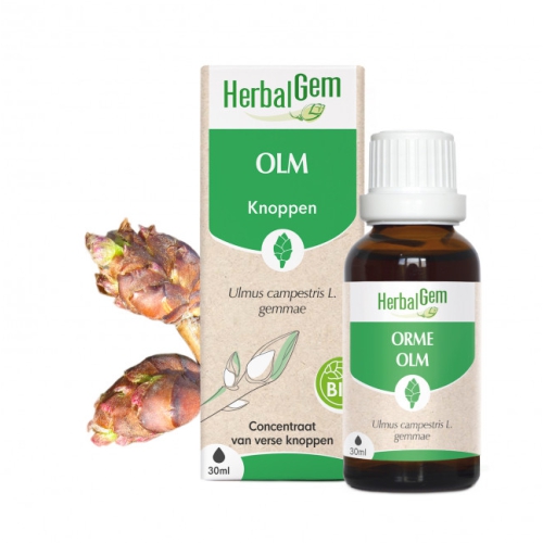 30 ml Herbalgem Olm - Ulmus Campestris Gemmae Biologisch
