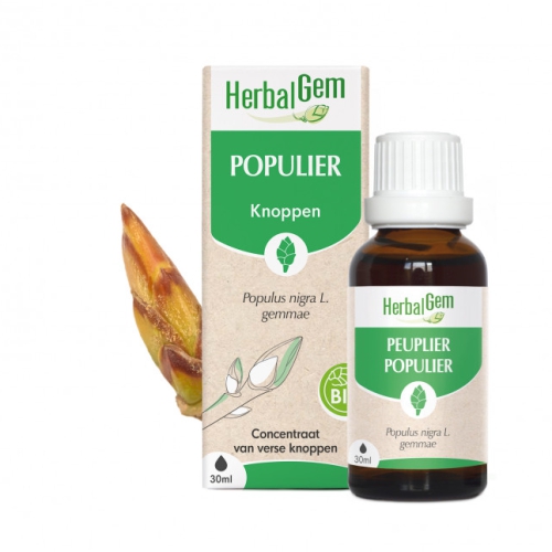 30 ml Herbalgem Populier - Populus Nigra Gemmae Biologisch