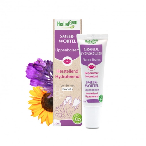 Herbalgem Smeerwortel Lippenbalsem Biologisch