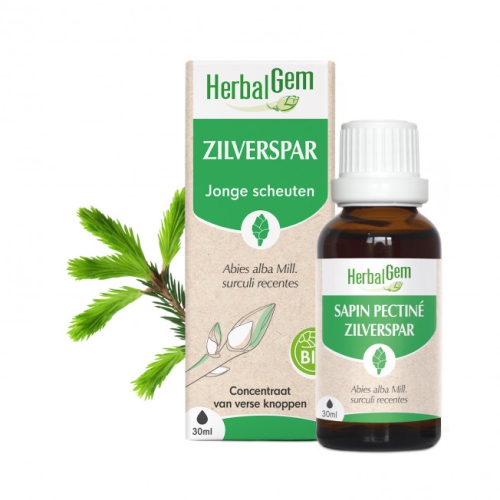 30 ml Herbalgem Zilverspar - Abies Pectinata Biologisch