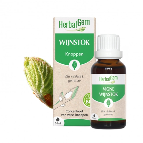 30 ml Herbalgem Wijnstok - Vitis Vinifera Gemmae Biologisch