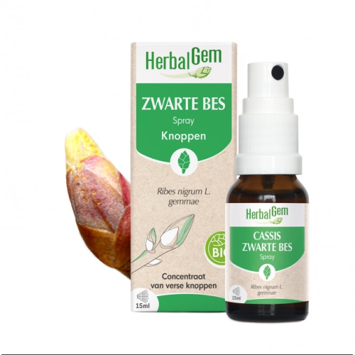 Herbalgem Zwarte Bes - Ribes Nigrum Gemmae Spray Biologisch