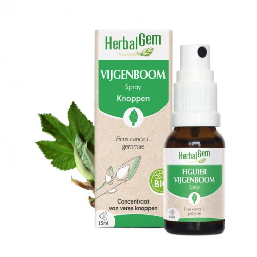 15 ml Herbalgem Vijgenboom - Ficus Carica Gemmae Spray Biologisch