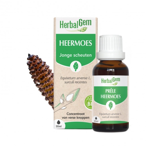 30 ml Herbalgem Heermoes - Equisetum Arvense Biologisch