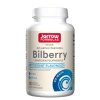 Jarrow Formulas Bilberry