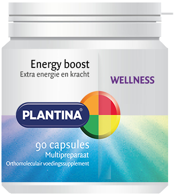 90 Kapseln Plantina Energy Boost