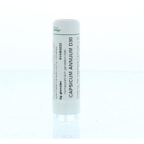 6 Gramm Homeoden Heel Capsicum Annuum D30 Granules