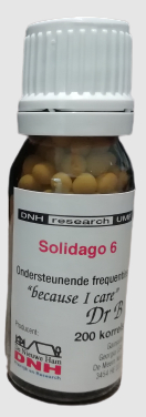 200 grains DNH Research Solidago 6