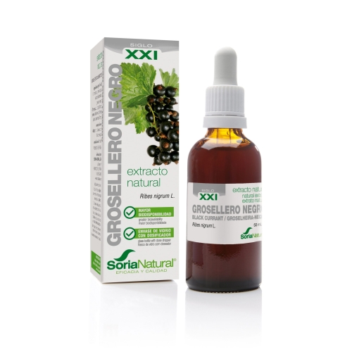 50 Ml SoriaNatural Ribes Nigrum XXI extr. fl.
