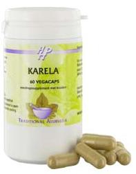 60 Kapseln Holisan Karela